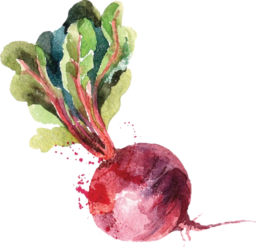 Beet Root
