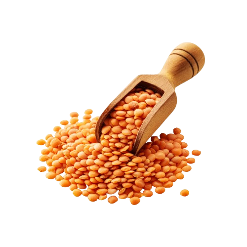 Masoor Dal