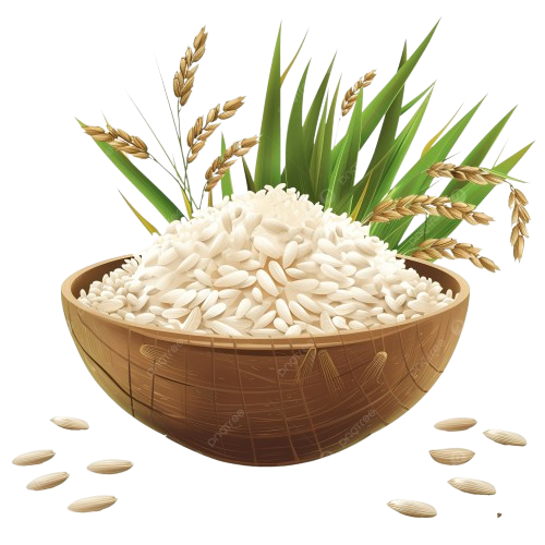 Rice
