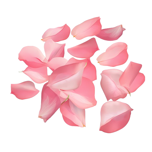 Rose Petals